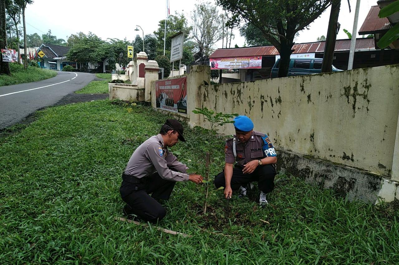Peduli Penghijauan,Polsek Pulosari Laksanakan Perawatan Pohon Secara  Berkala -