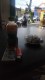 Alfamart ponorogo