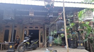 Fahrudin Bird Farm