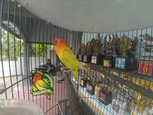 Dann Bird Farm