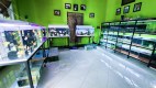 Rahayu Cat And Fish Ponorogo