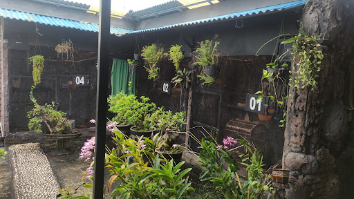 TIRTO BENING BIRD FARM