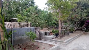 Mas Farm H. AMIR