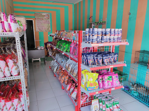 Bolo Petshop