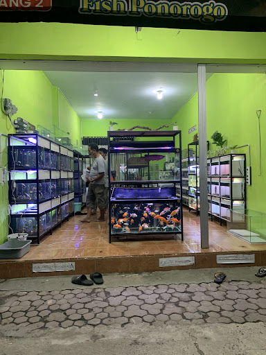 PUSAT IKAN HIAS PONOROGO