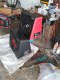 HADI VARIASI & AUDIO MOBIL