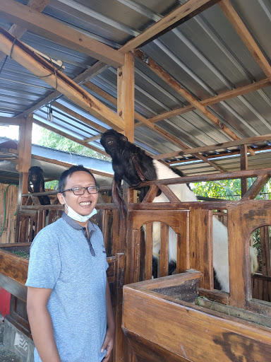 PRAKTEK DOKTER HEWAN ANDRI