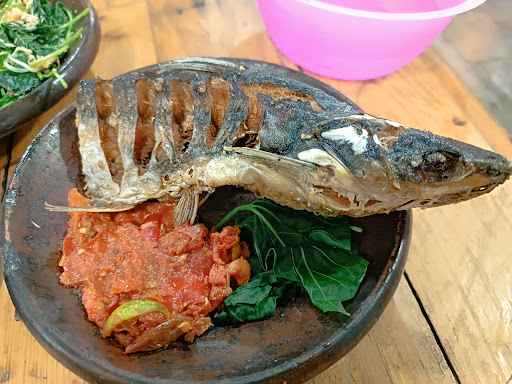 Iwak iwakan