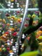 Ojan Aquatic Ponorogo