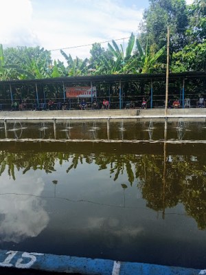 Lesehan Pancing Ponorogo " Jalan barong "