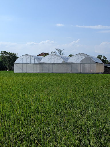 SoboTani Farm