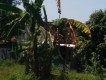 Koperasi Simpan Pinjam