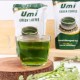 Umi Green Coffee