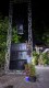 AR audio sound system