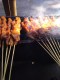 Sate Ayam Pak Ran