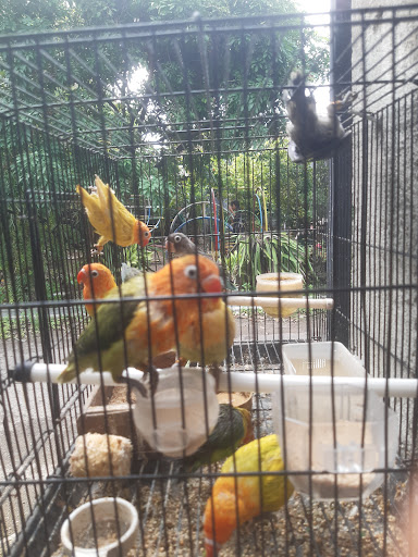 Padel Bird Farm