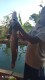 Kolam pemancingan TIRTO NDOMPYAK Ngrayun