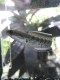 Jete Fish