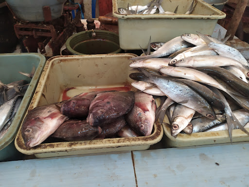 KTM Fish "Jual Ikan Tawar Dan Laut"
