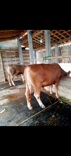 518 FARM