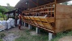 CHANDRA FARM
