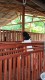 REGA FARM