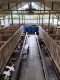 Atha farm