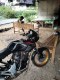Farm Seno