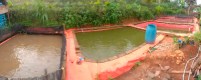 RARIMBA FARM