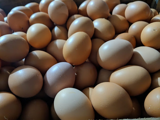 MR FARM (BERKAH ENDOX'S)