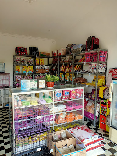 CHIKI PETSHOP