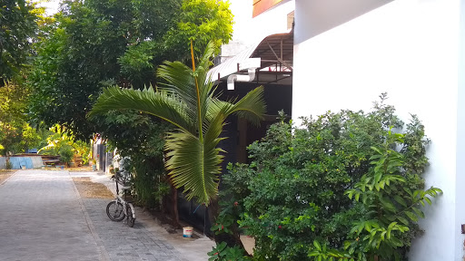 Pengobatan Holistik Ponorogo