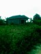 Bidan Luthfia Umma