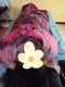 Hawa tradisional spa