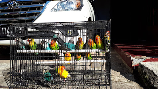 YN Bird Fish FARM