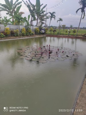 Sekayu River
