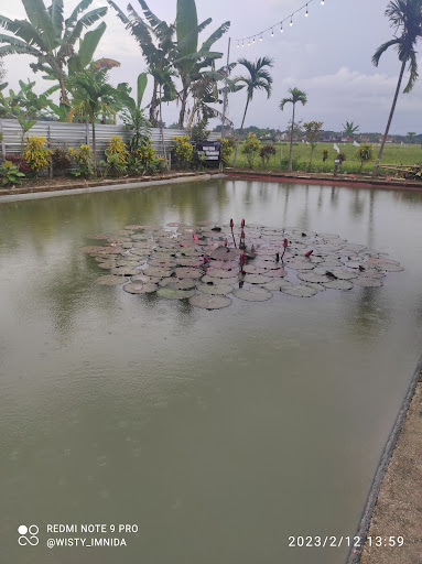 Sekayu River