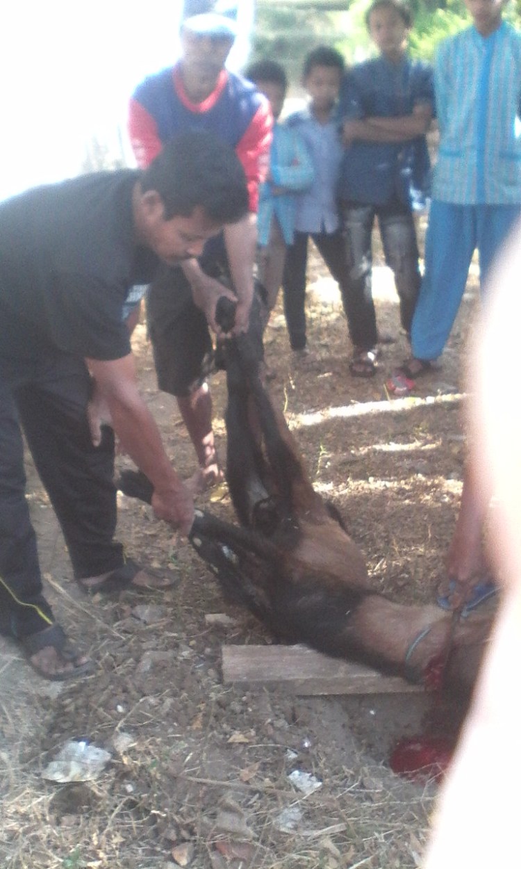 SD NEGERI 2 JURUG