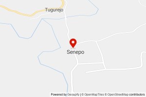SD NEGERI 1 SENEPO