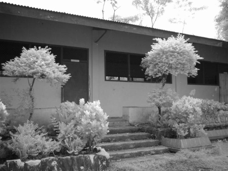 SMP ISLAM THORIQUL HUDA
