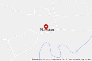 SD NEGERI 1 PLUNTURAN