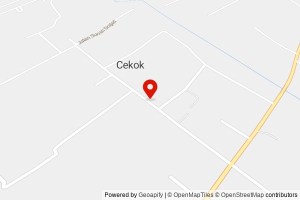 MIS MA`ARIF CEKOK