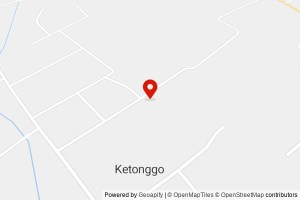 TK DW KETONGGO