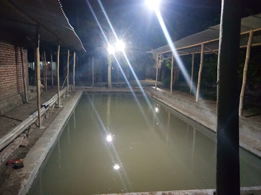 Angkringan Dan Pemancingan Watu Dekok