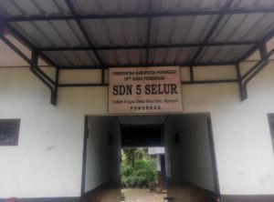 SD NEGERI 5 SELUR