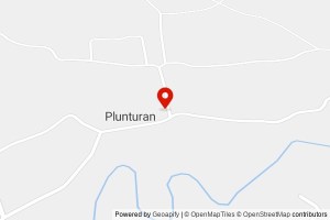 SD NEGERI 2 PLUNTURAN