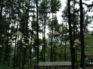 Beruk Mountain