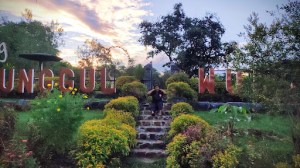 Desa Wisata Kupuk