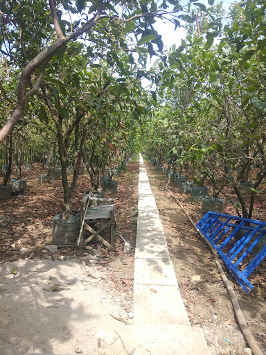 Pondok Jambu (Wisata Agro & Kuliner)