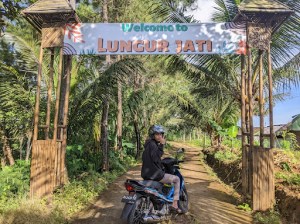 Wisata Lungur Jati
